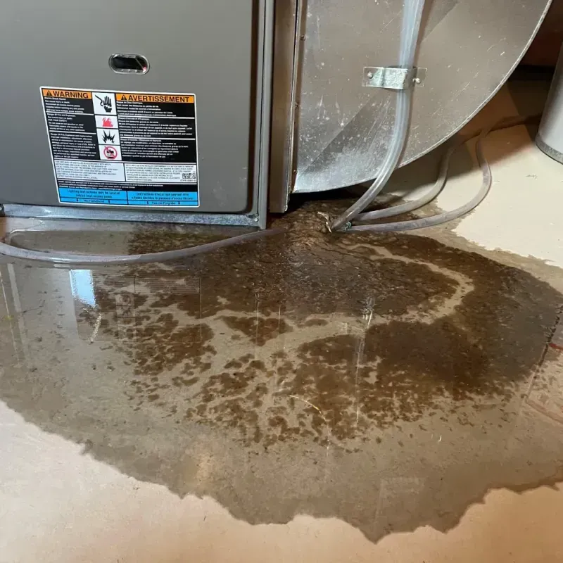 Appliance Leak Cleanup in Bessemer, AL